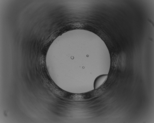 X0000103220518200809251139