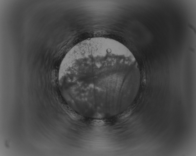 X0000103220519200809251139