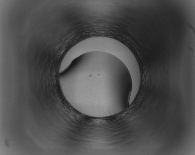 X0000103220520200809251139