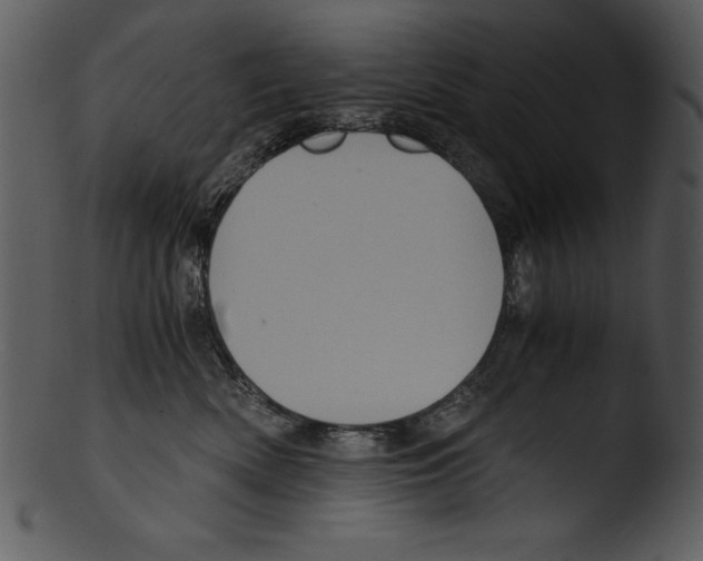 X0000103220522200809251139