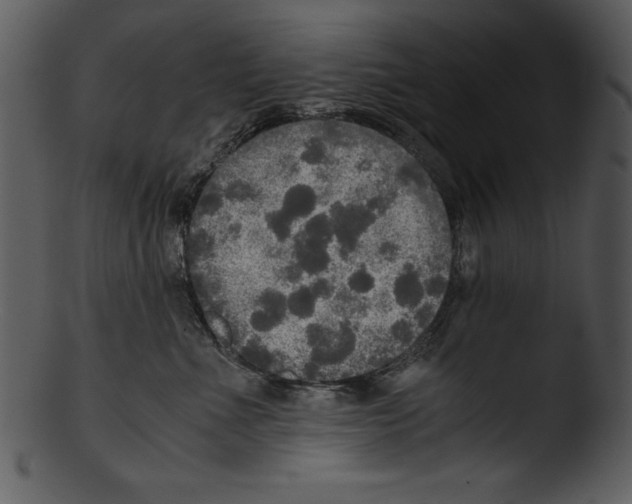 X0000103220523200809251138