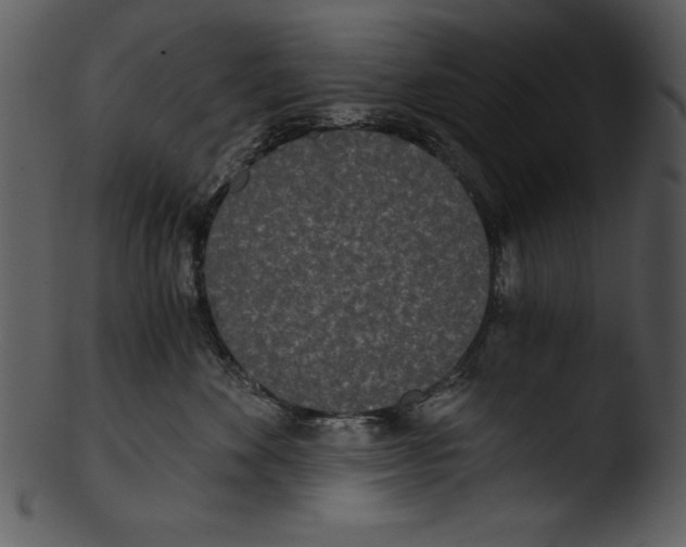 X0000103220524200809251138