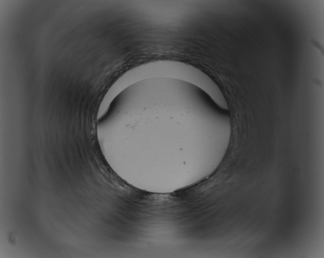 X0000103220528200809251138