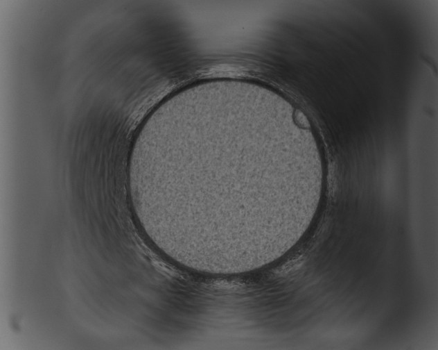 X0000103220529200809251137