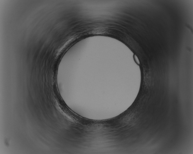 X0000103220530200809251137