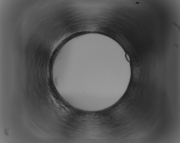 X0000103220532200809251137