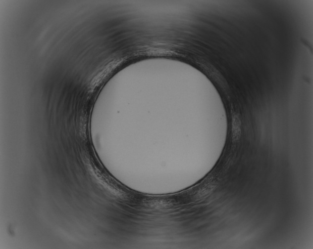 X0000103220533200809251137