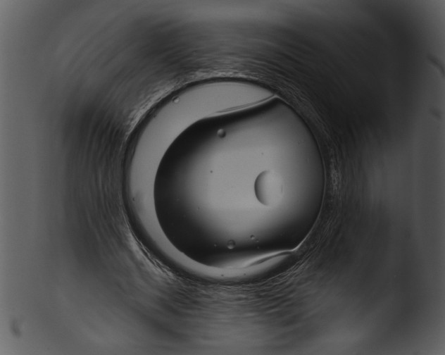 X0000103220534200809251137