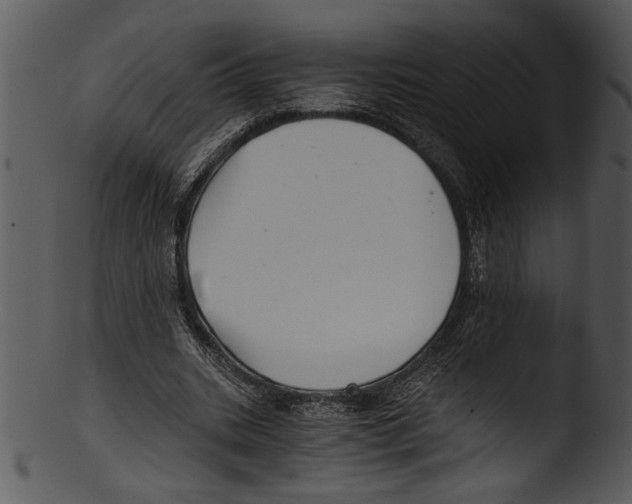 X0000103220535200809251138