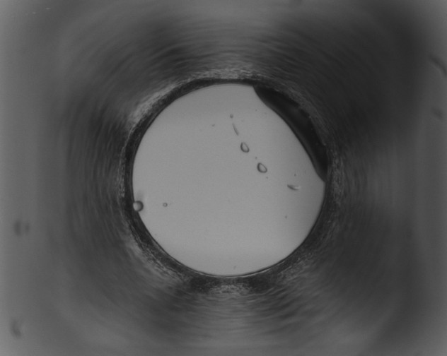 X0000103220536200809251138