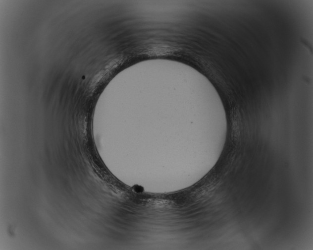 X0000103220539200809251138