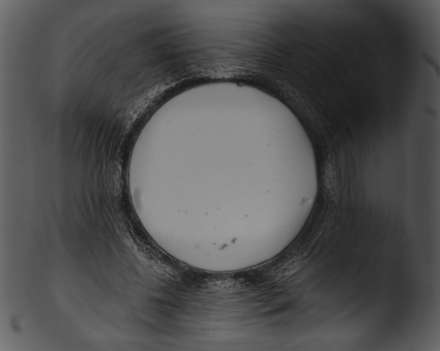 X0000103220540200809251138