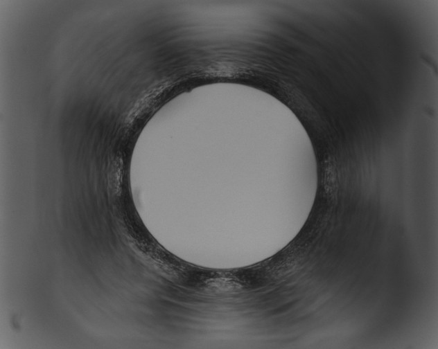 X0000103220544200809251138