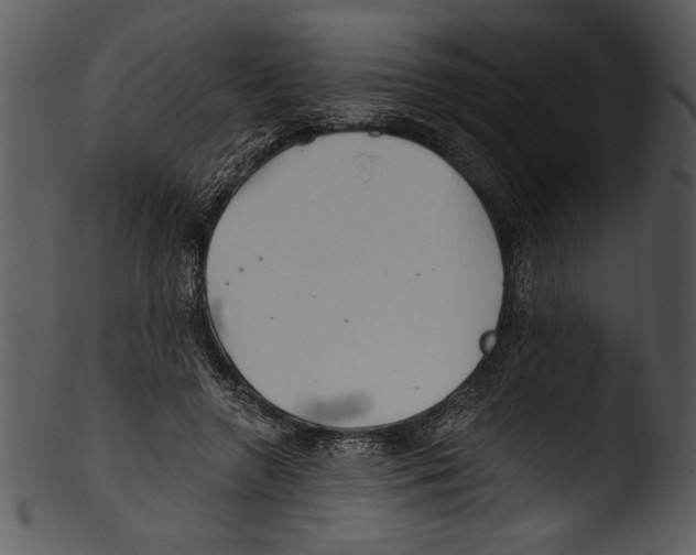 X0000103220546200809251138