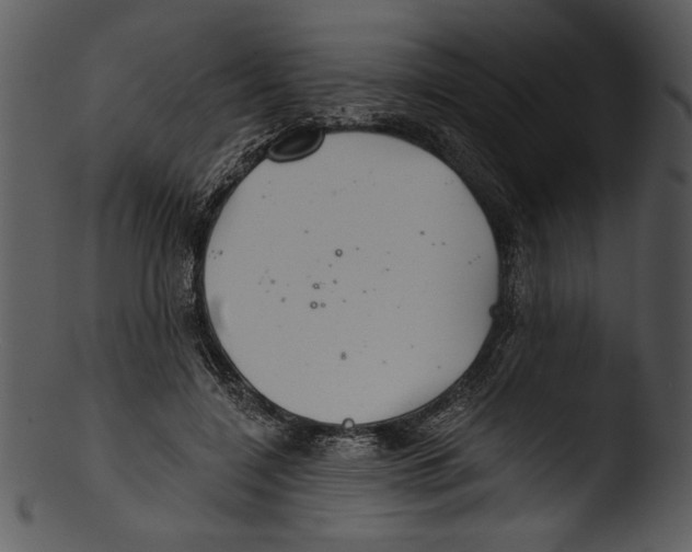 X0000103220548200809251138