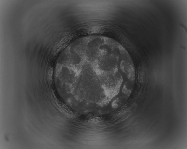 X0000103220550200809251138