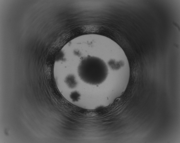 X0000103220551200809251138