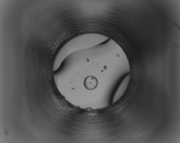 X0000103220552200809251138