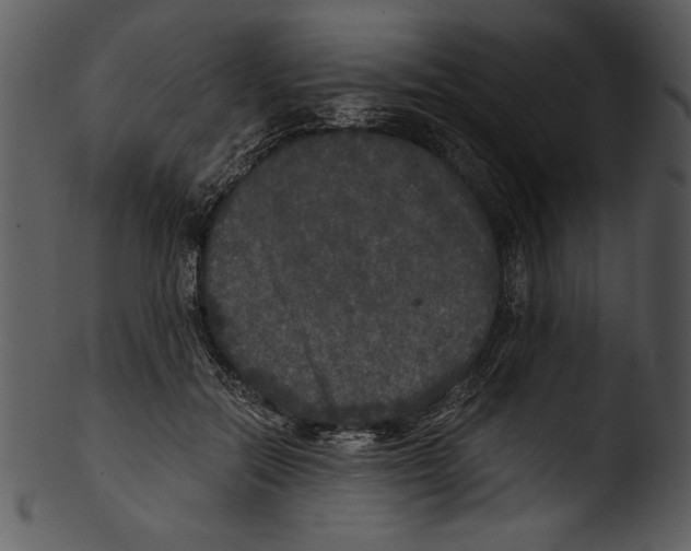 X0000103220554200809251138