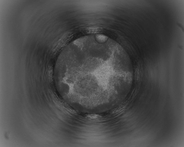 X0000103220557200809251138