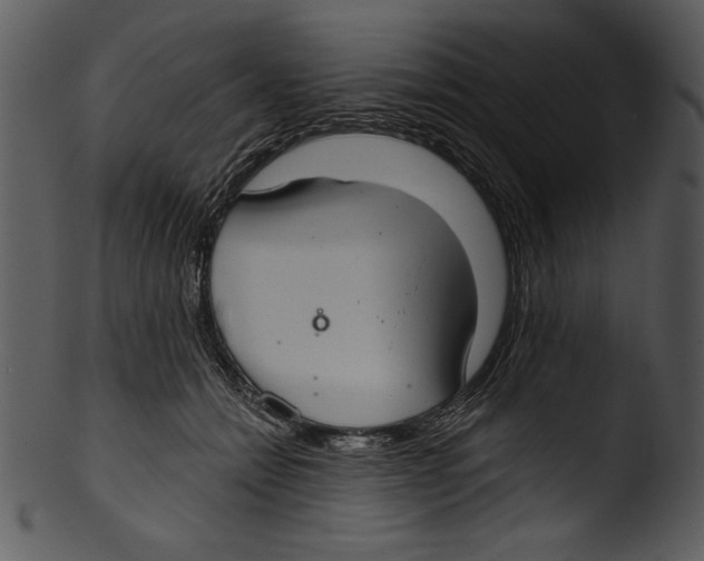 X0000103220558200809251138