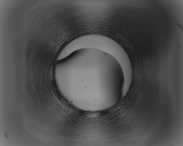 X0000103220560200809251138