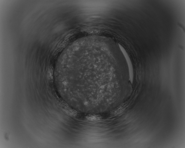 X0000103220561200809251138