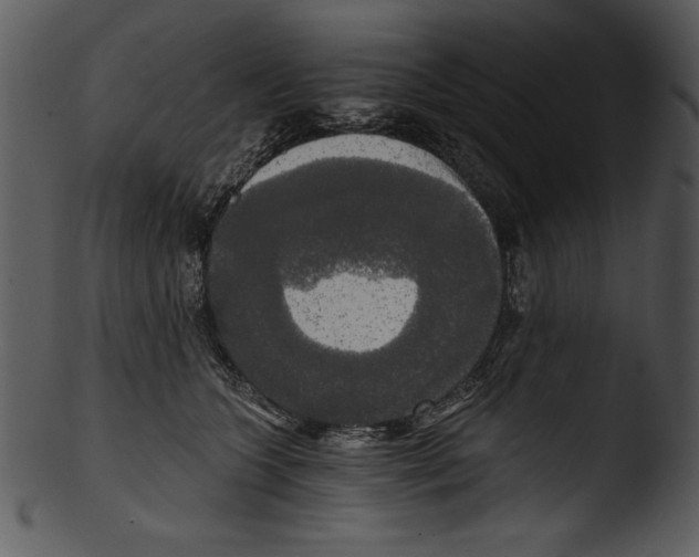 X0000103220563200809251138