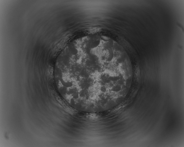 X0000103220565200809251138