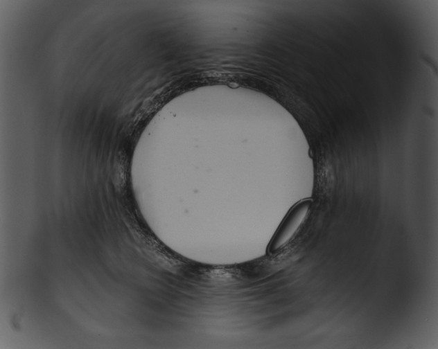 X0000103220566200809251138