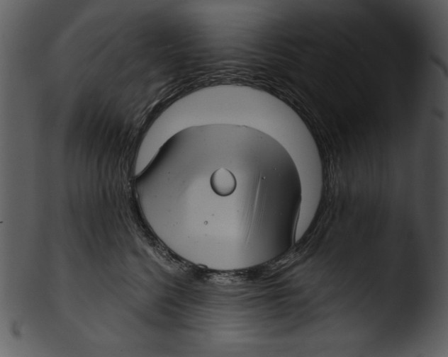 X0000103220568200809251138