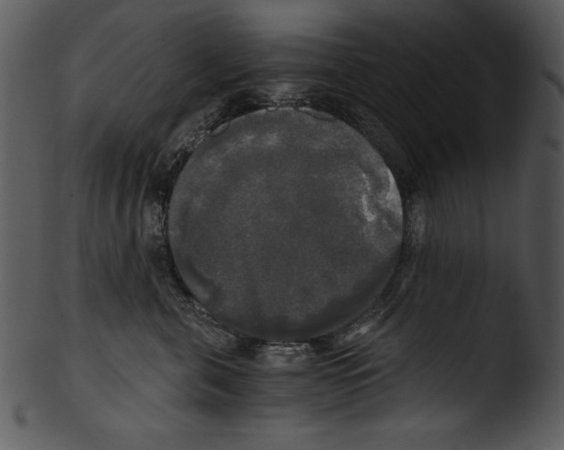 X0000103220571200809251138