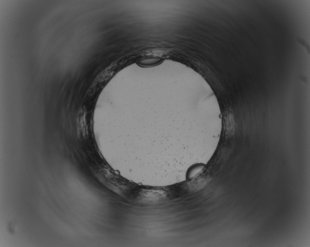 X0000103220572200809251138