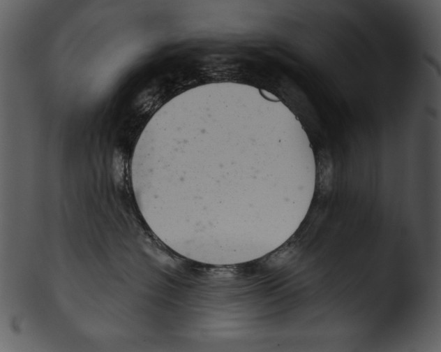 X0000103220574200809251138