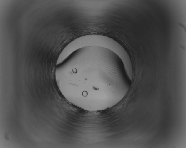 X0000103220576200809251138