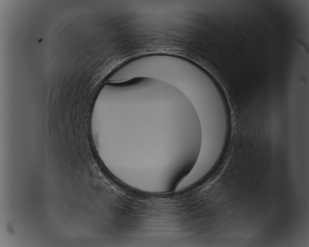 X0000103220577200809251137