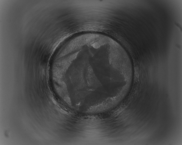 X0000103220580200809251137