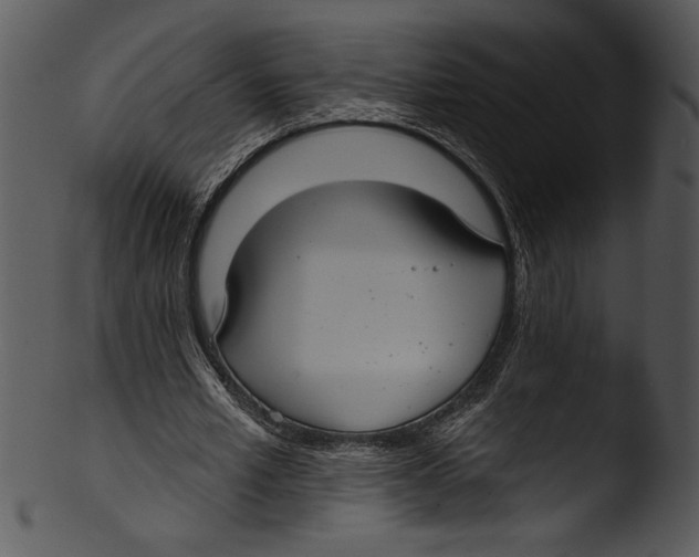 X0000103220581200809251137