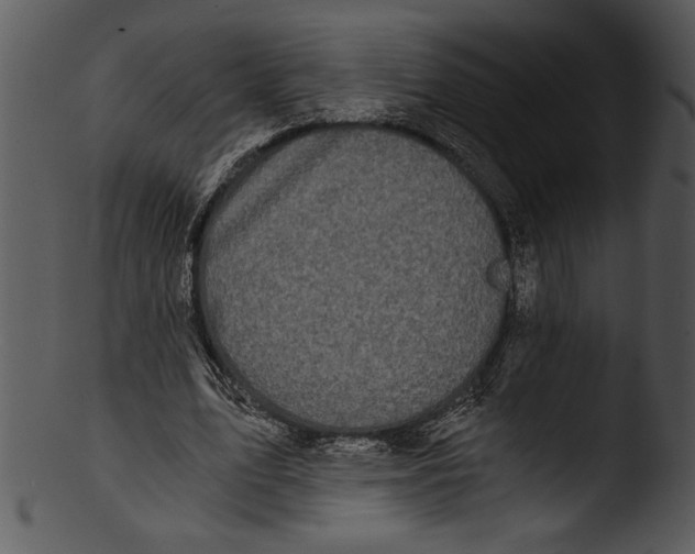 X0000103220583200809251137