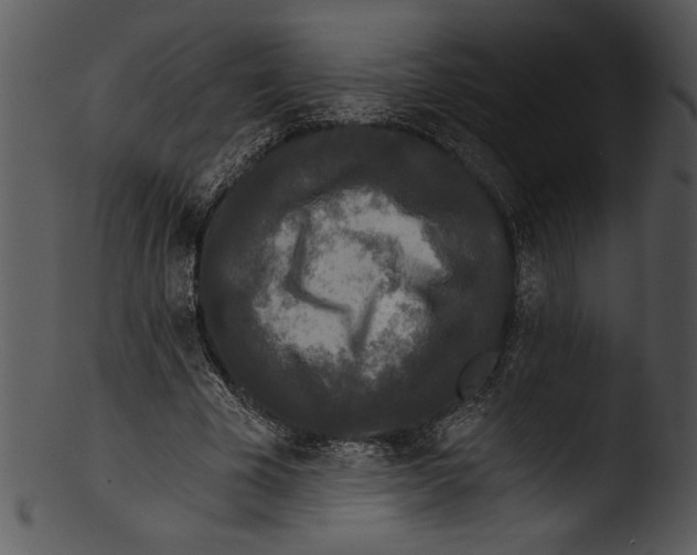 X0000103220585200809251137