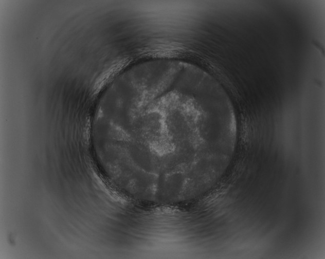 X0000103220586200809251137