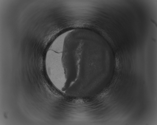 X0000103220588200809251137