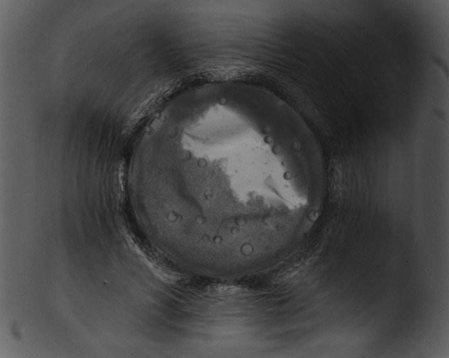 X0000103220590200809251137