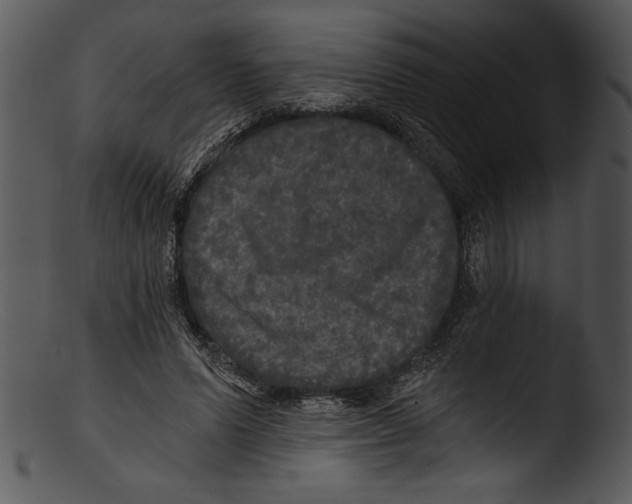 X0000103220591200809251137