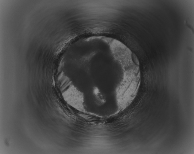 X0000103220592200809251137