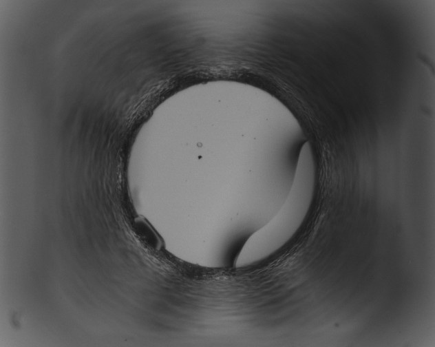 X0000103220593200809251137