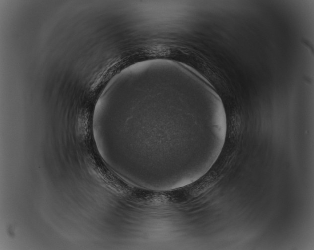 X0000103220600200809251137