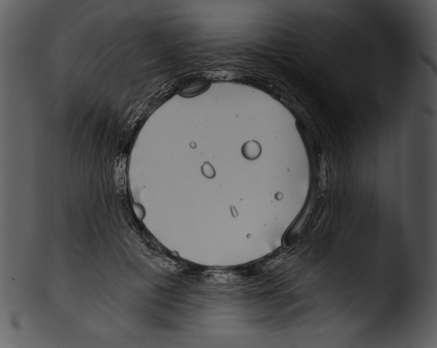 X0000103220601200809251137