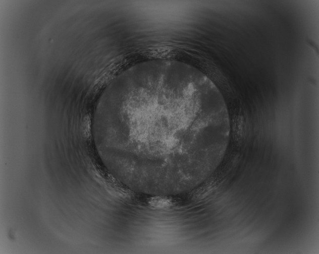 X0000103220602200809251137