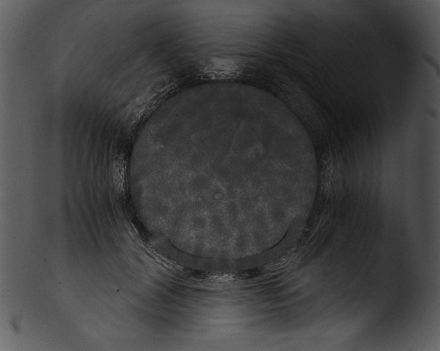 X0000103220604200809251137